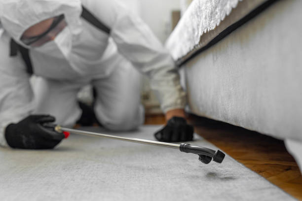 Professional Cockroach Control technician working in Seattle, WA