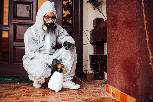 Reliable Cockroach Control contractor in Seattle, WA by Nex Pest Control